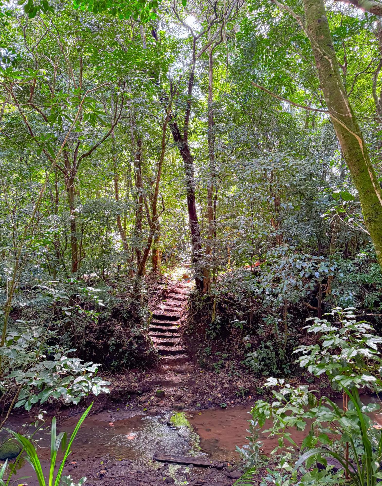 Casa Rayo De Luna Monteverde Exterior photo